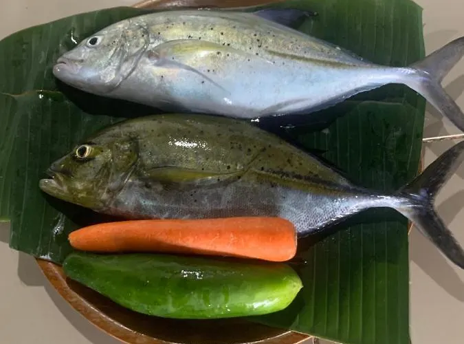 Diver's Cafe Amed (Bali)