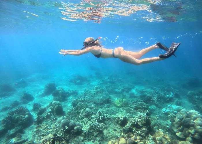 Diver's Cafe 2* Amed (Bali)